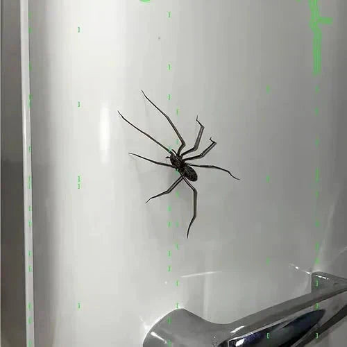 🧲 50 % RABAT! 🕷️ Realistiske edderkoppemagneter – kraftig holdekraft til køleskab, døre og dekoration 🚗