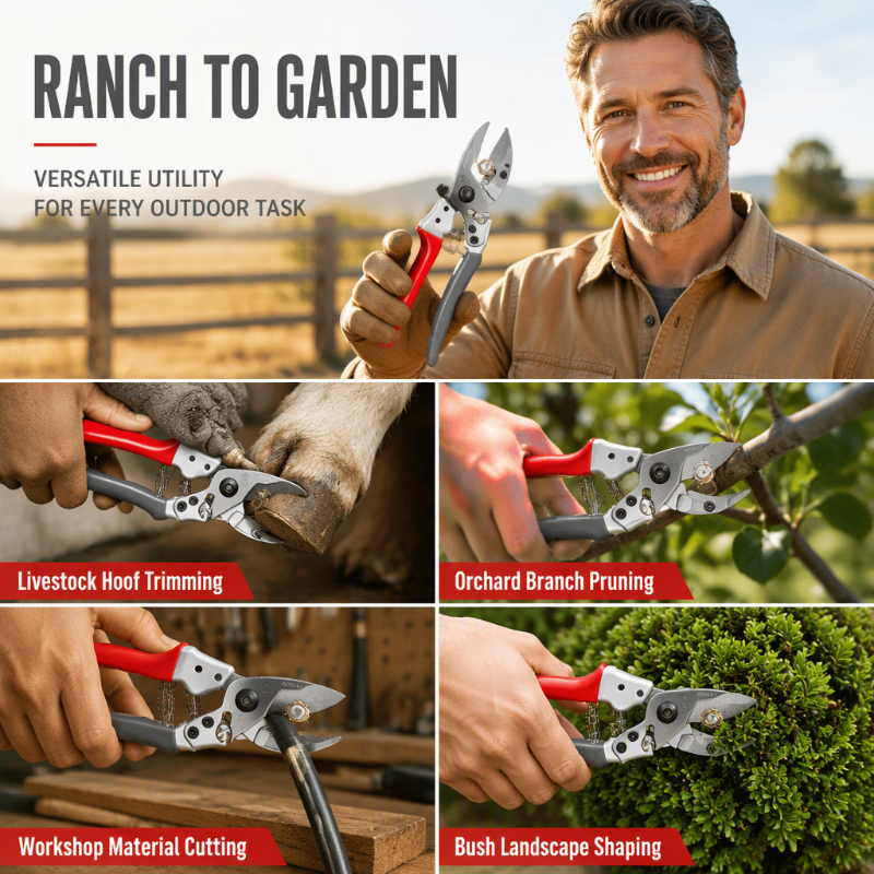 🐏✂️ Multifunktionel saks til fåreklove, koklove, hestehove og havearbejde