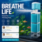 🐠 Automatisk akvariefilter – renere vand og sundere fisk