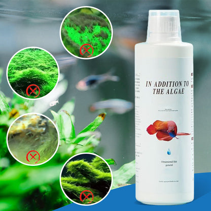Effektivt algemiddel til akvarium 🌿
