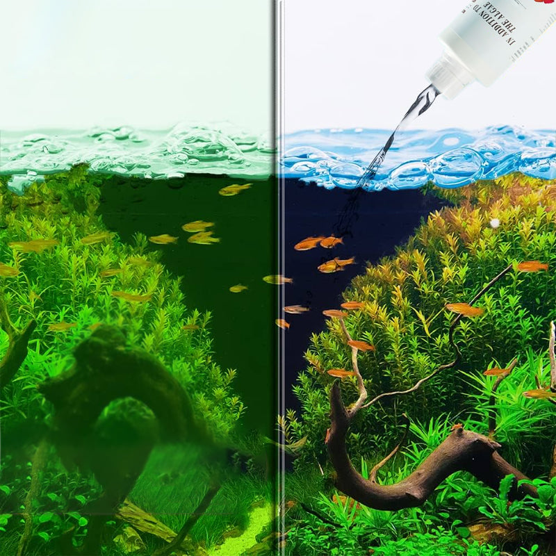 Effektivt algemiddel til akvarium 🌿