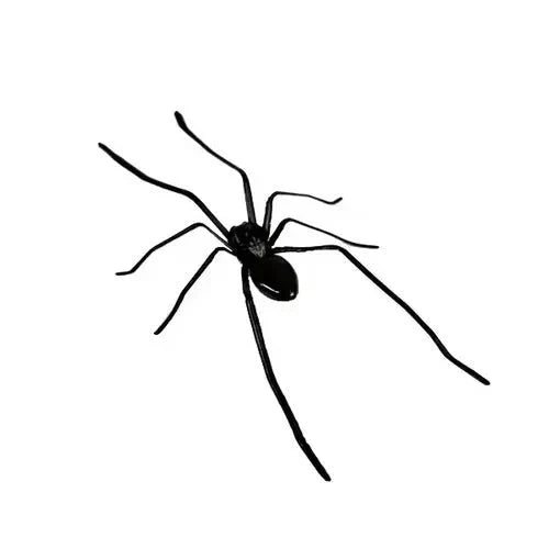 🧲 50 % RABAT! 🕷️ Realistiske edderkoppemagneter – kraftig holdekraft til køleskab, døre og dekoration 🚗