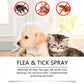 🐶🐱 Naturlig Loppe- & Flåtspray