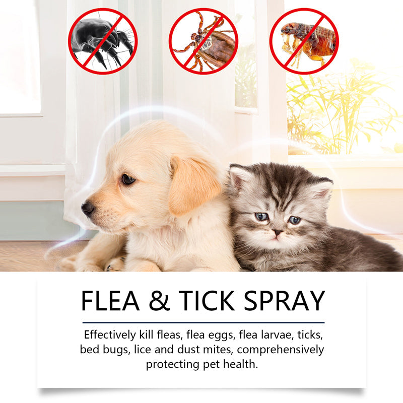 🐶🐱 Naturlig Loppe- & Flåtspray