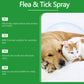 🐶🐱 Naturlig Loppe- & Flåtspray
