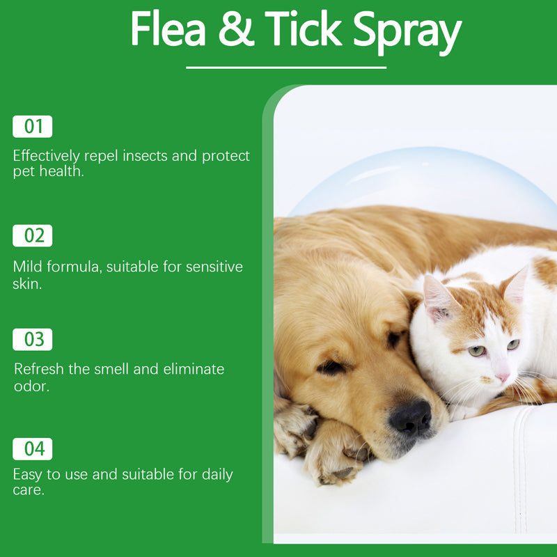 🐶🐱 Naturlig Loppe- & Flåtspray