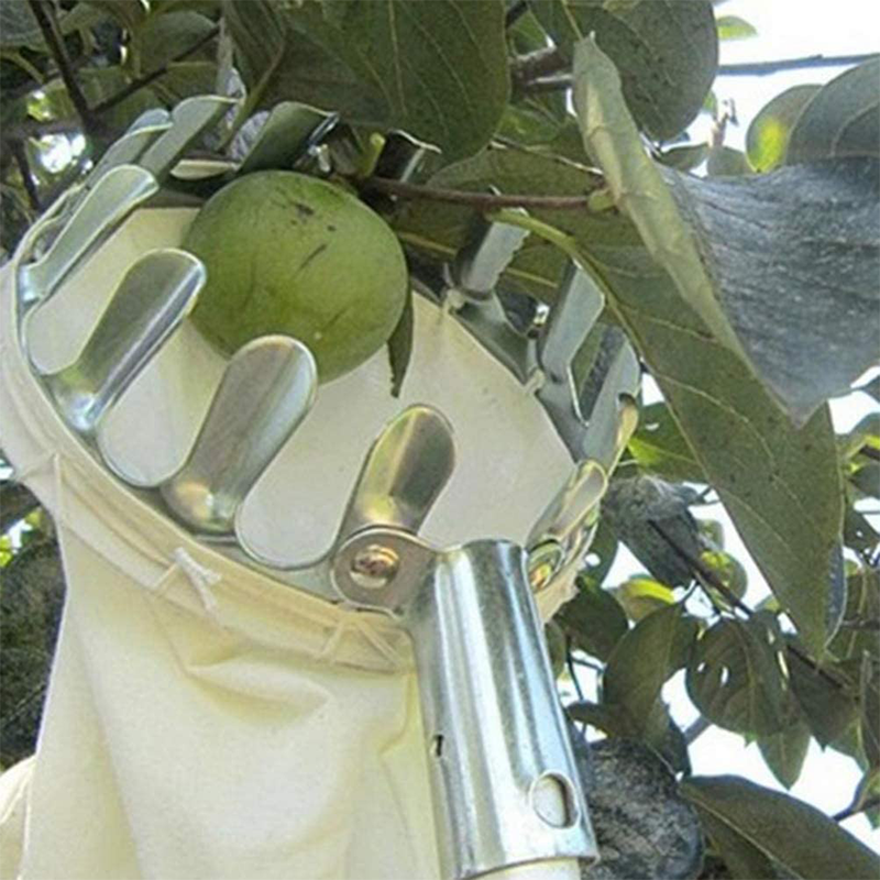 📢📢50 % RABAT!! ⏰Frugtplukkerkurv – holdbart design, nem montering & perfekt til høje grene uden stige 🌳