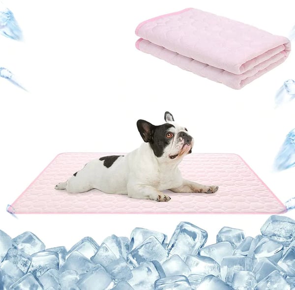🐾 50% RABAT NU! ❄️ Premium kølemåtte til kæledyr – selvkølende, åndbar og vandtæt design 🐶