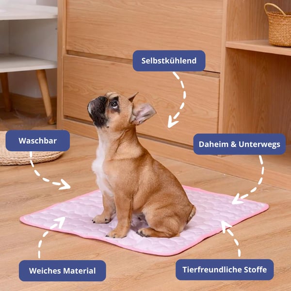 🐾 50% RABAT NU! ❄️ Premium kølemåtte til kæledyr – selvkølende, åndbar og vandtæt design 🐶