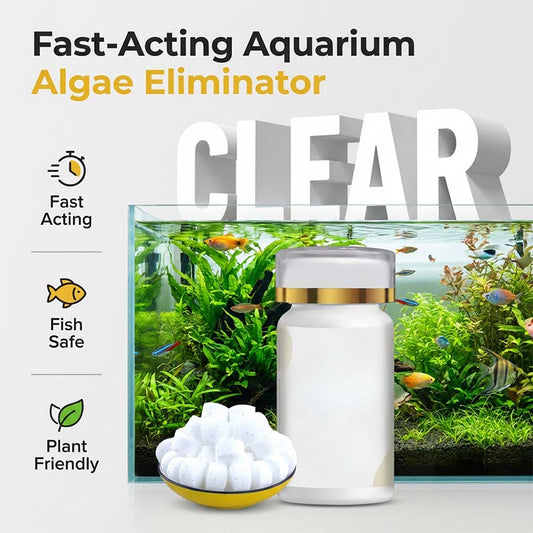 🐠💧 50 % RABAT! Algebekæmpelsestabletter – Stopper algevækst på celleniveau. Nemme at lægge i akvariet. Hold dit akvarium krystalklart. 🐟✅