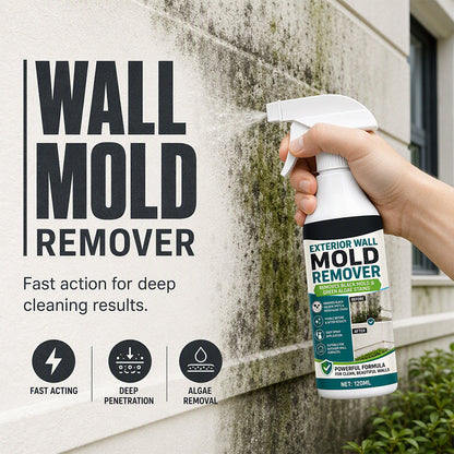 Hurtigvirkende spray mod skimmelsvamp på vægge