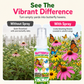 🦋 Sommerfuglespray til haven – tiltræk smukke sommerfugle